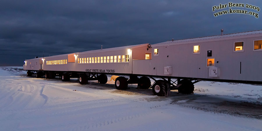 churchill polar bear tundra lodge a1