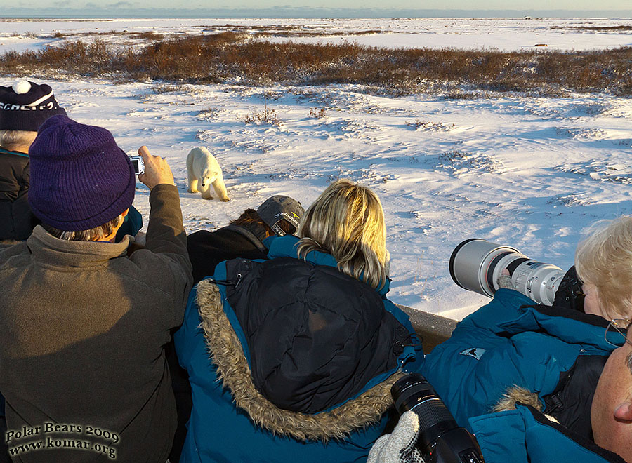 churchill polar bear tundra lodge l0