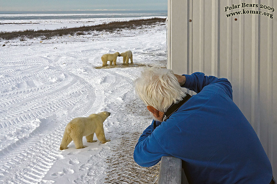 churchill polar bear tundra lodge l1