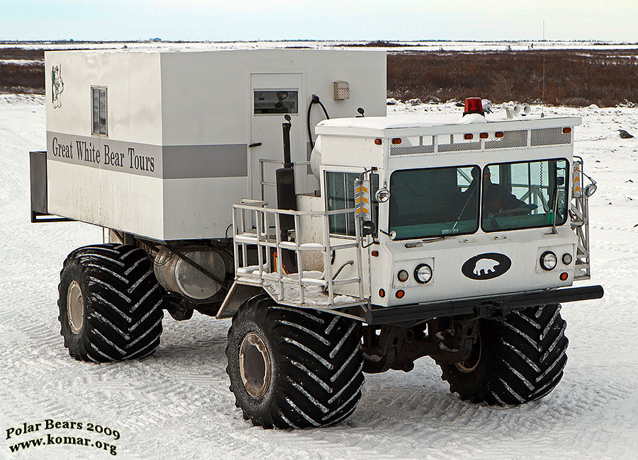 churchill polar bear tundra lodge l8