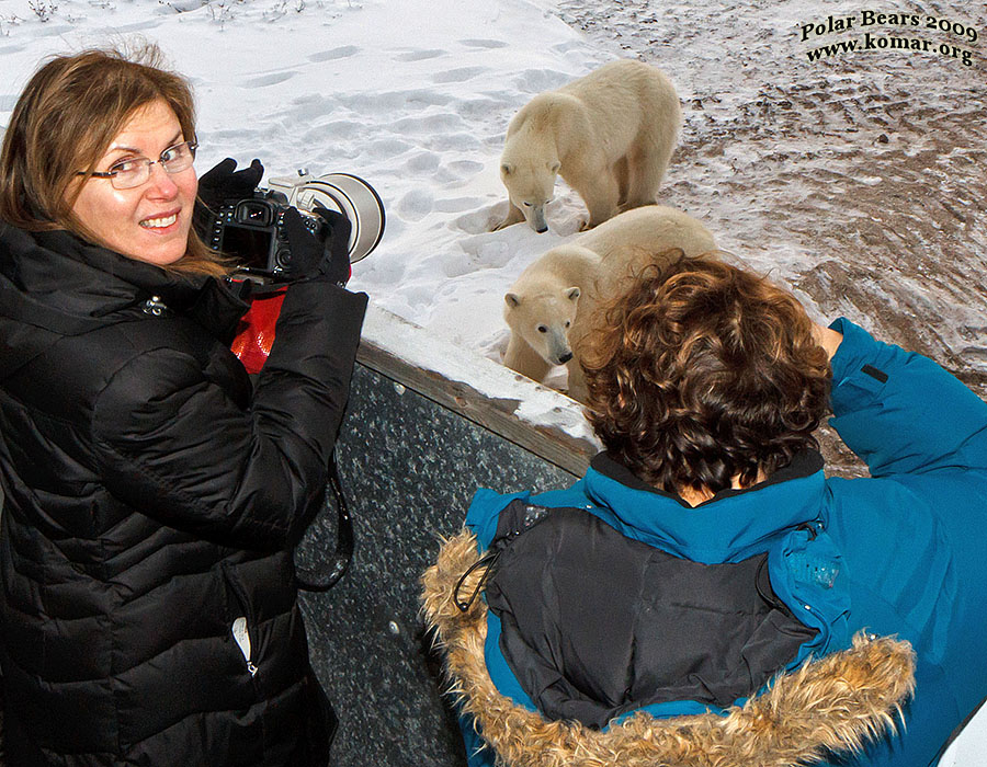 churchill polar bear tundra lodge n3