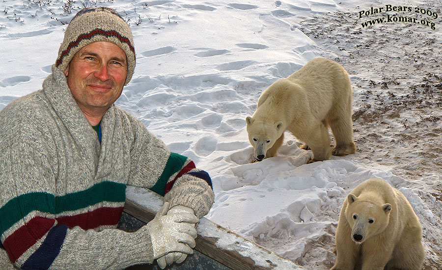 churchill polar bear tundra lodge alek eyes