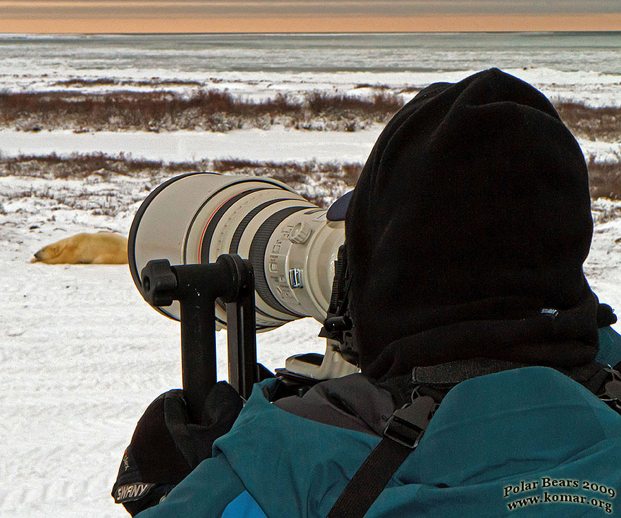 churchill polar bear tundra lodge o0