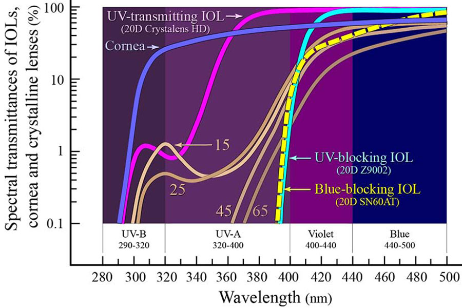 mainster-turner UV graph