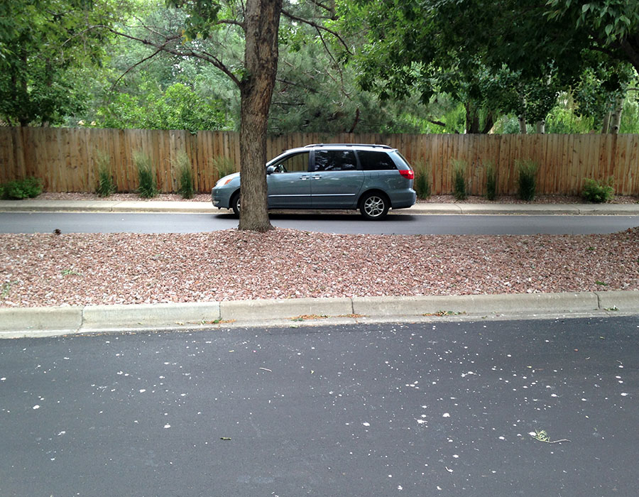 colorado coopers hawk poop stains