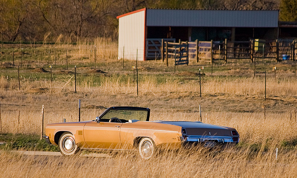 prairie olds