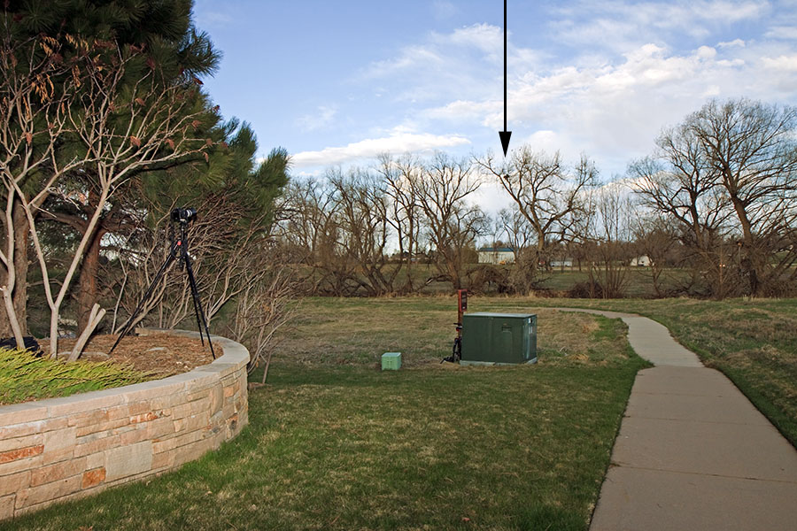 great horned owl nest April 9a