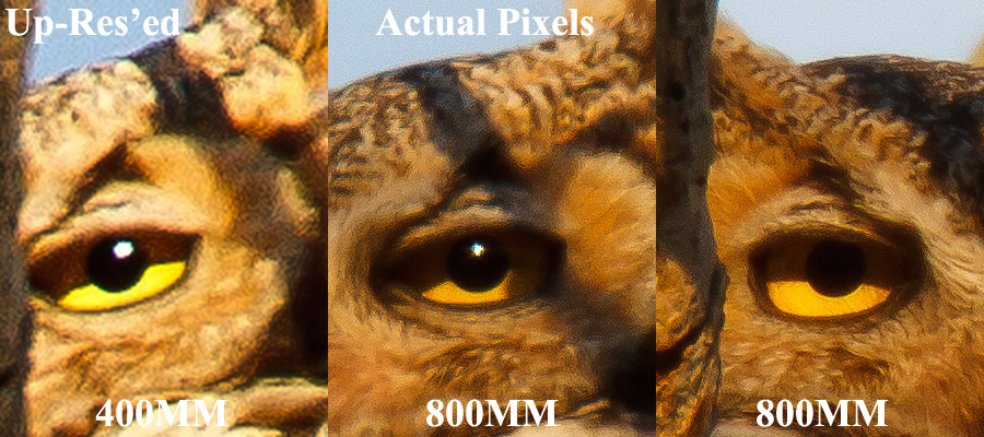 canon 70-200 F2.8 IS version 2 owl 1