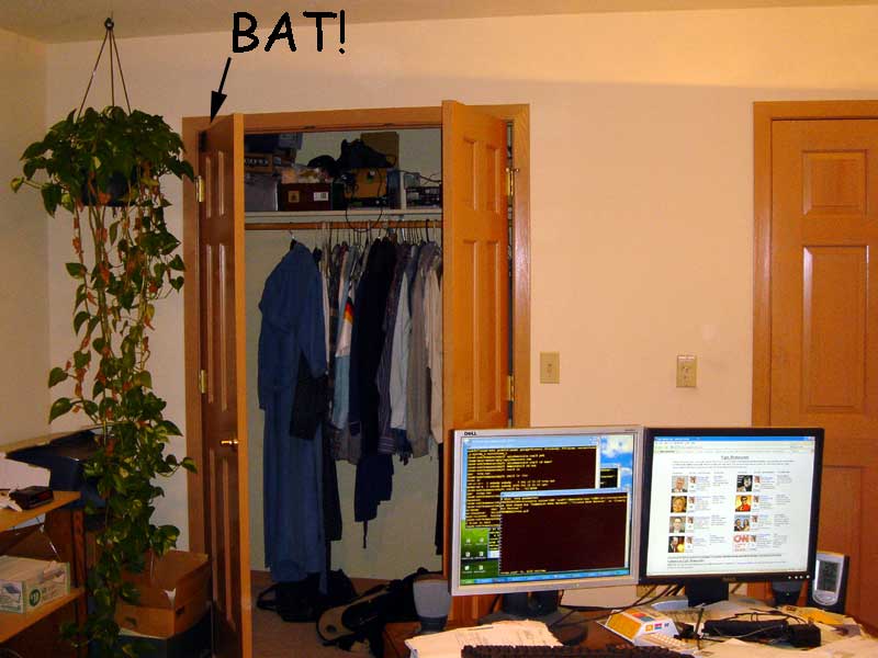 bat in office