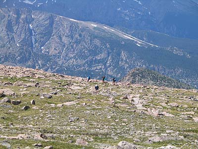 longs peak 5