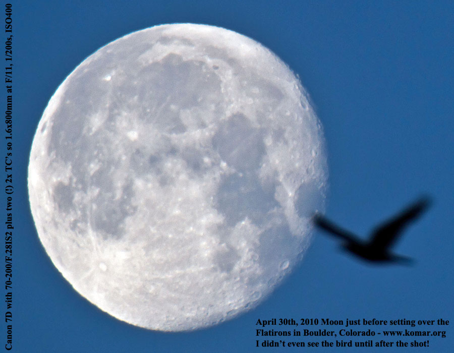 colorado rockies moonset april/2010 bird