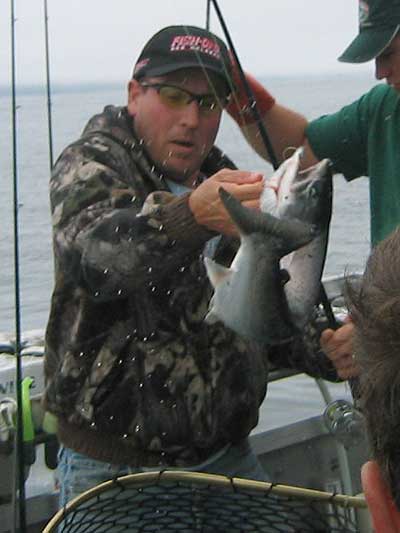 alaska silver salmon 2