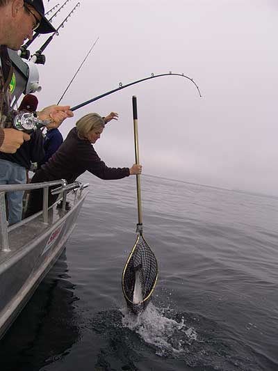 seward salmon net
