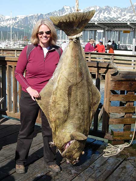 mary halibut