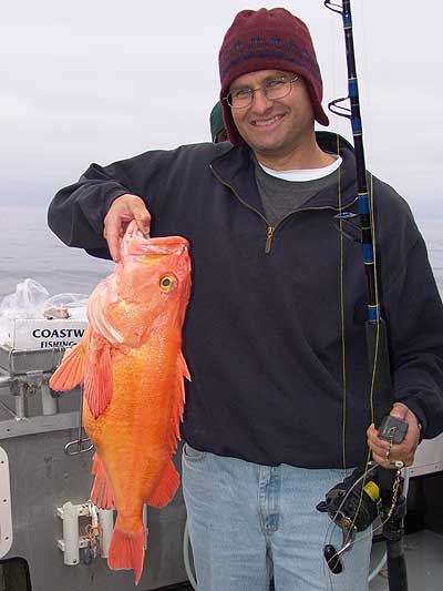 yellow eye rockfish