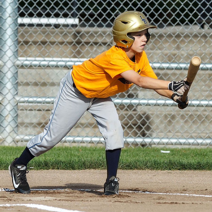 2013_09_22 wood bat b8