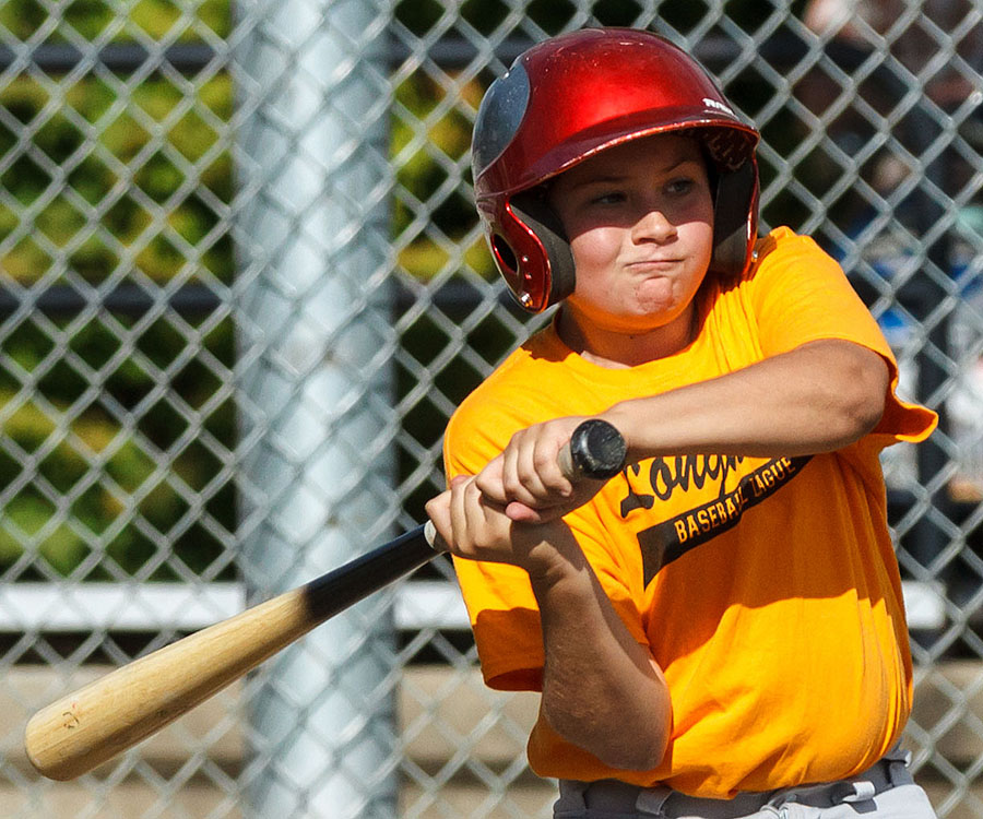 2013_09_22 wood bat a2