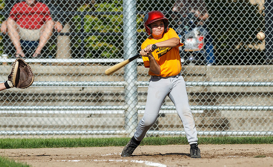 2013_09_22 wood bat a1