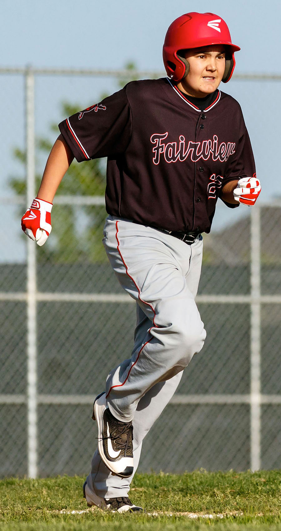 fairview knights baseball summer 2016 06 01 b5