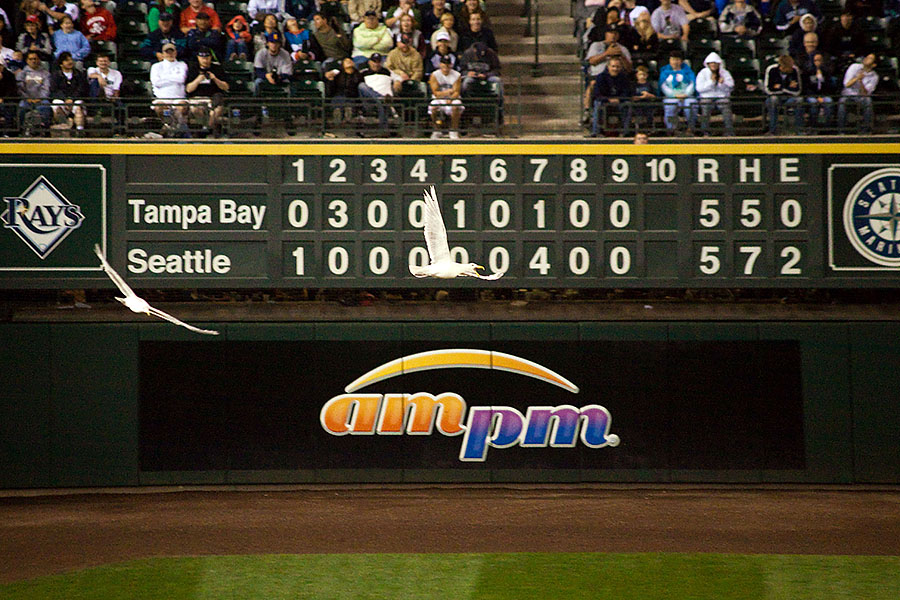 ryan langerhans seattle mariners birds flying