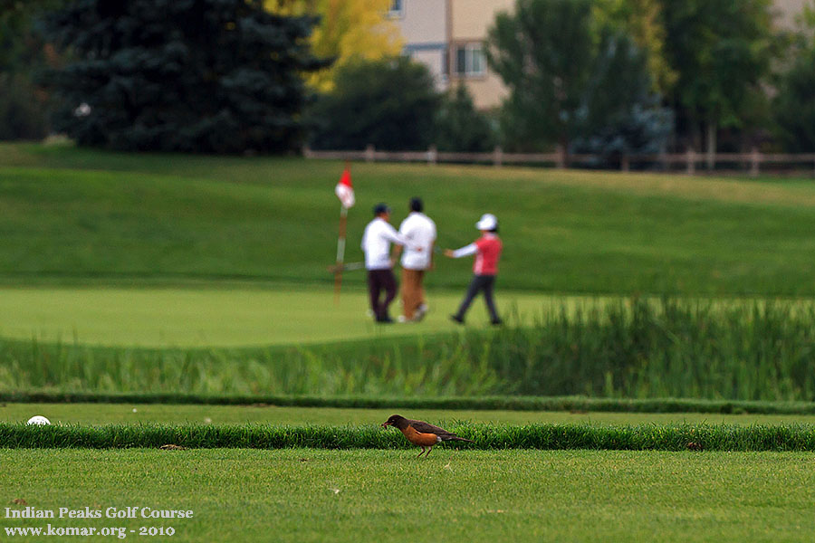 Indian Peaks Golf Course b