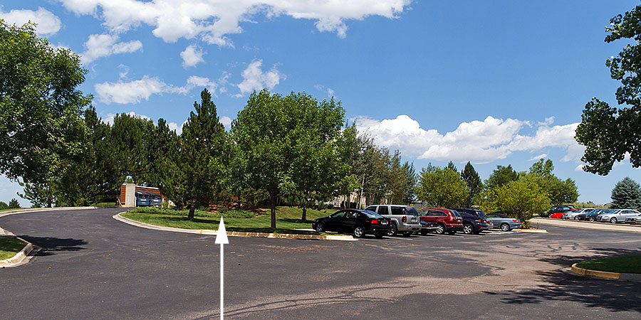 hummingbird nest golf parking lot