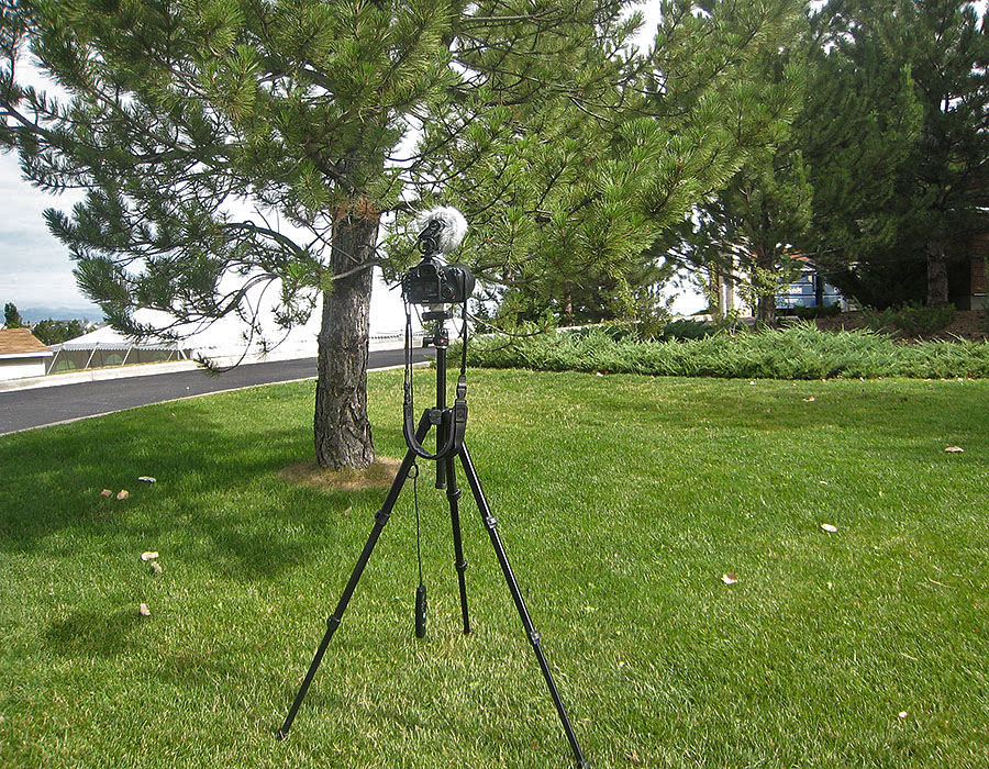 hummingbird nest camera setup 2