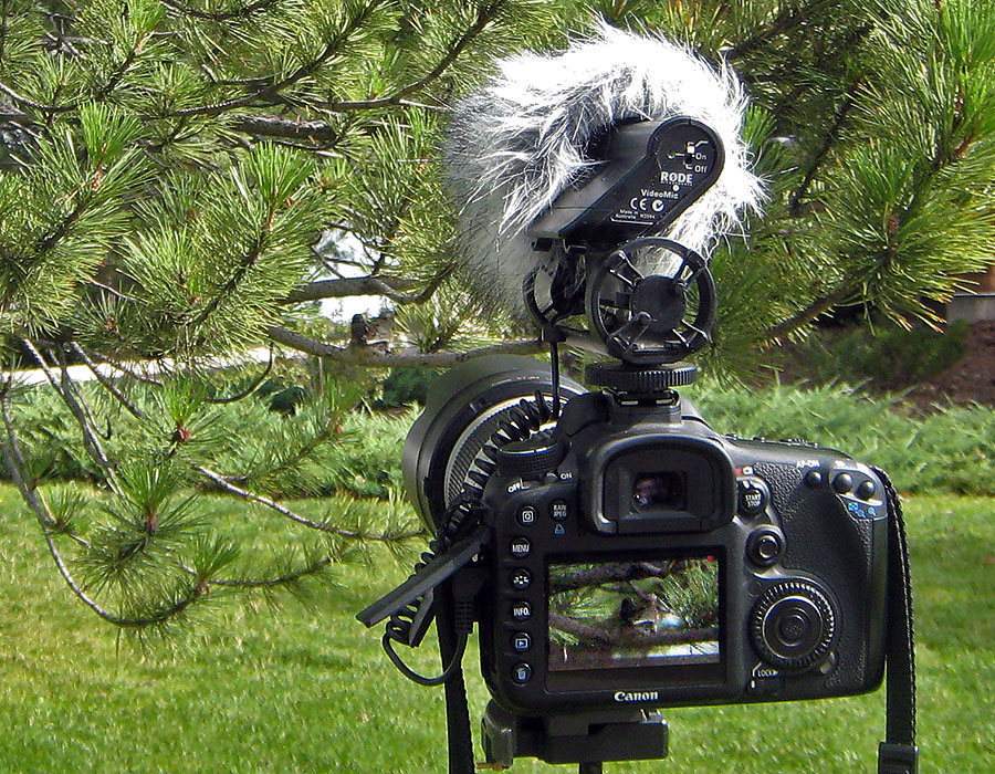 hummingbird nest camera setup 3