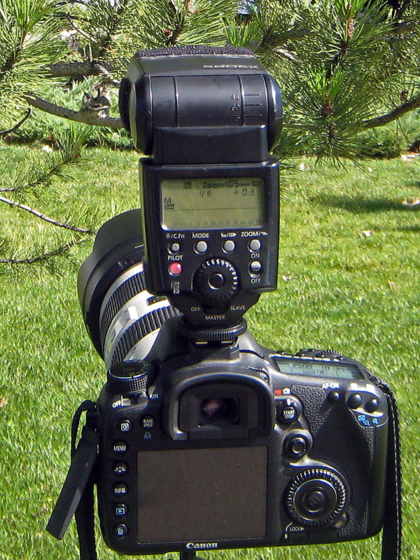 hummingbird nest camera setup 1
