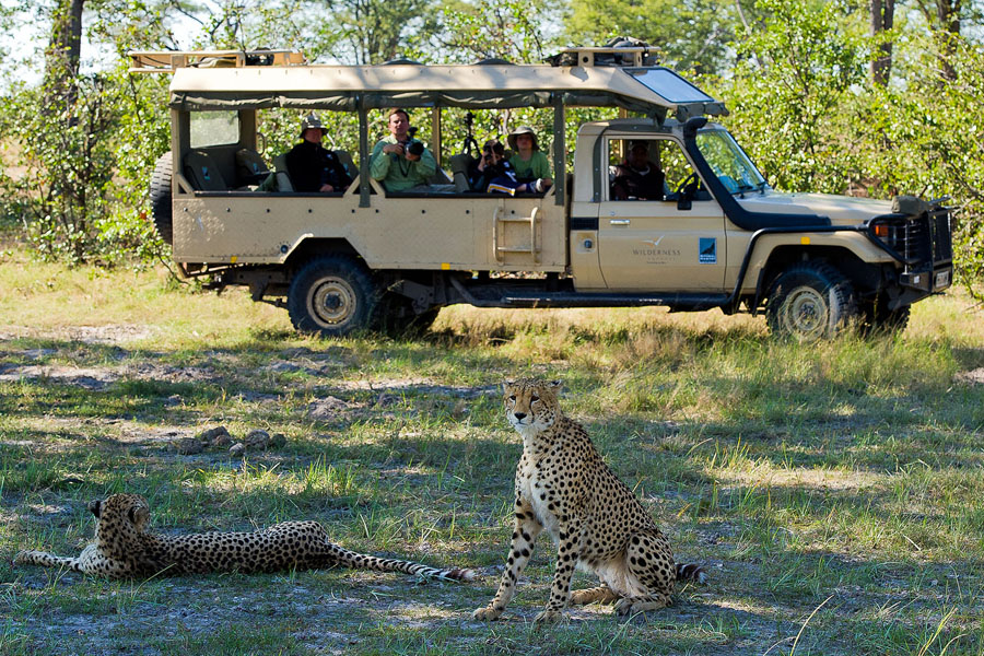 africa safari YYY