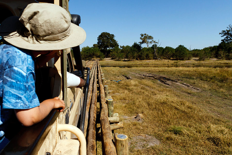 africa safari YYY