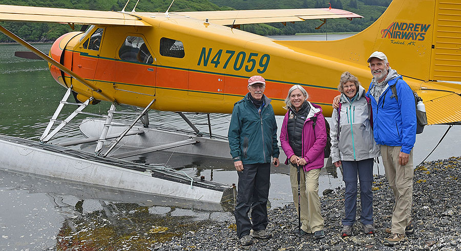 katmai brown bears b8