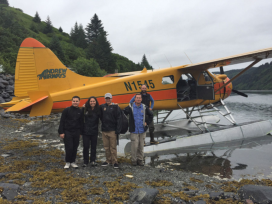 katmai brown bears b7