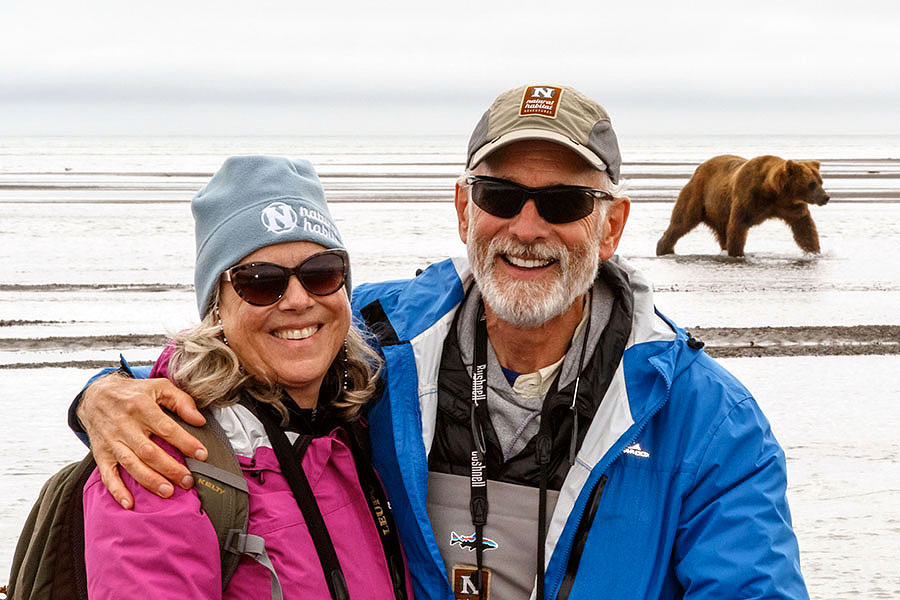 katmai brown bears h2