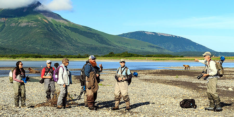 katmai brown bears h9