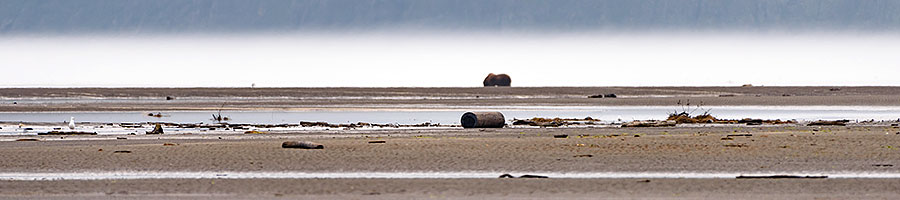 pipes in katmai 1