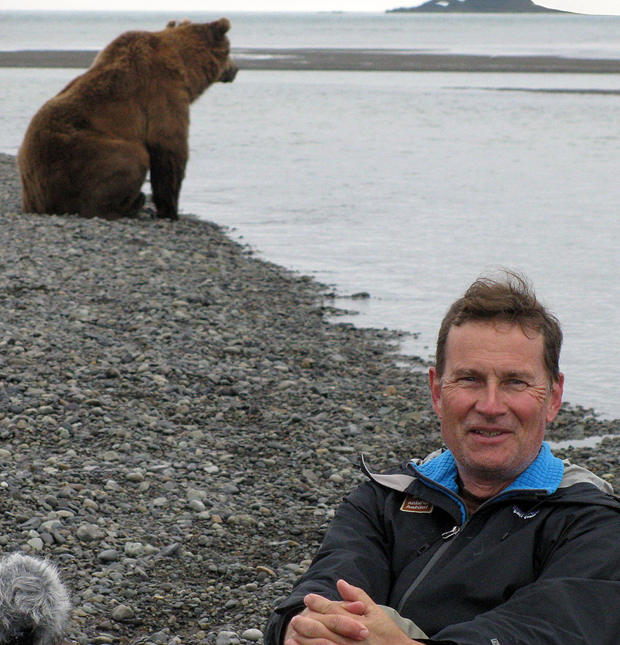 katmai brown bears h3