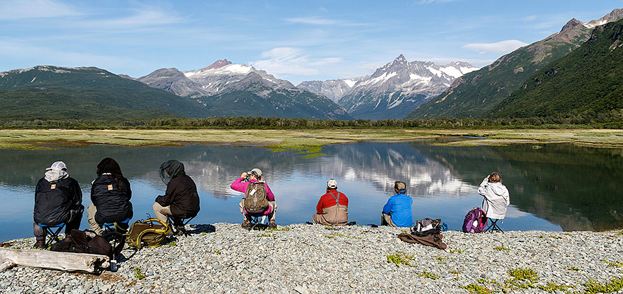 katmai brown bears i2