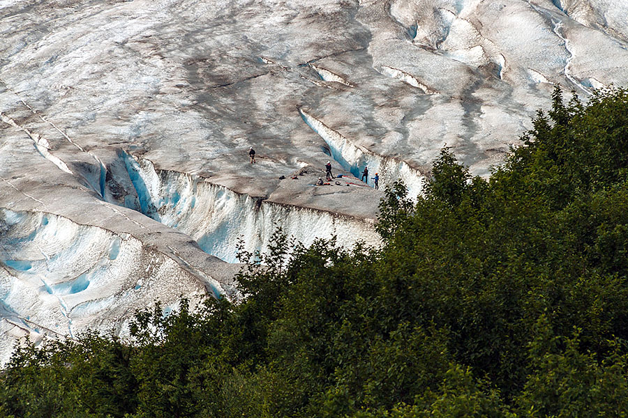 harding icefield hike exit glacier crevasse