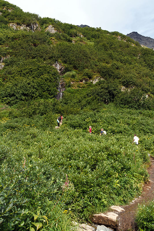 harding icefield hike second half