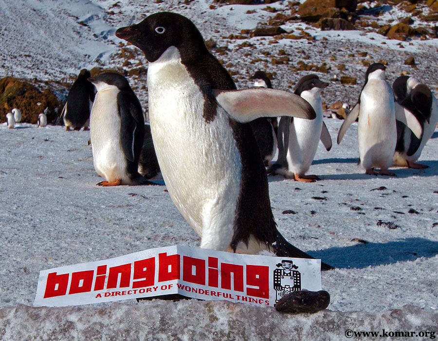 boing-boing antarctica 1