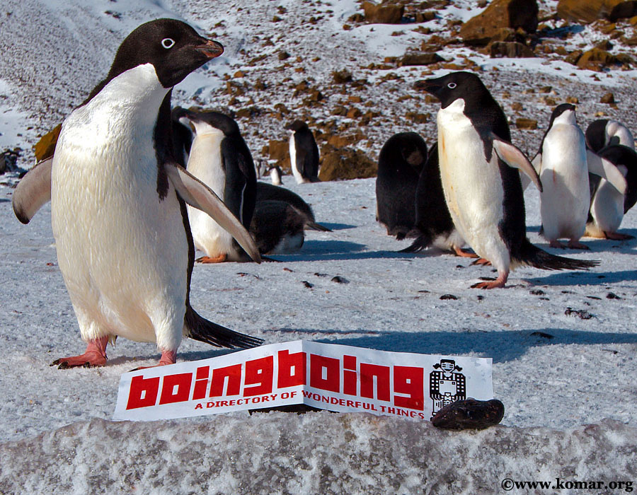 boing-boing antarctica 1