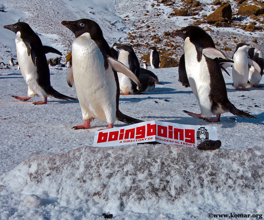 boing-boing antarctica 1