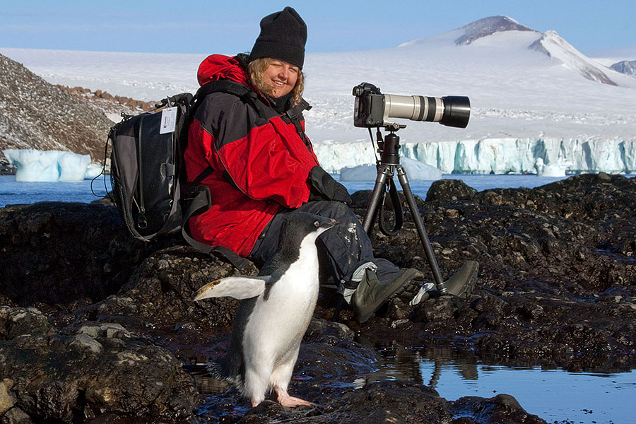 antarctica brown bluff carol