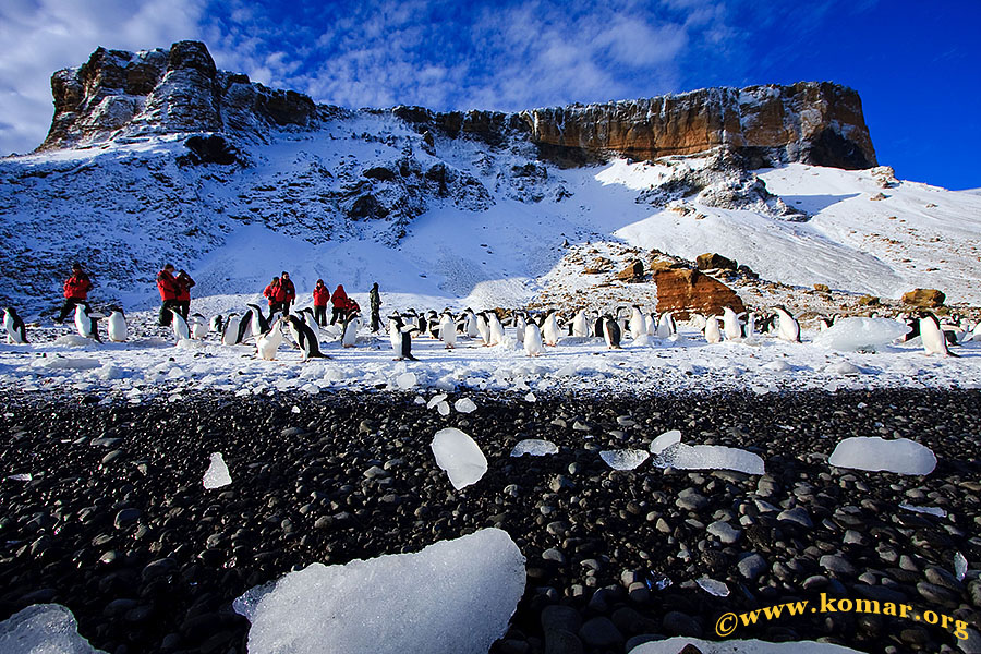 antarctica Brown Bluff a6