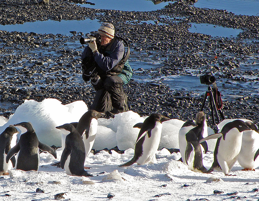 antarctica Brown Bluff a9