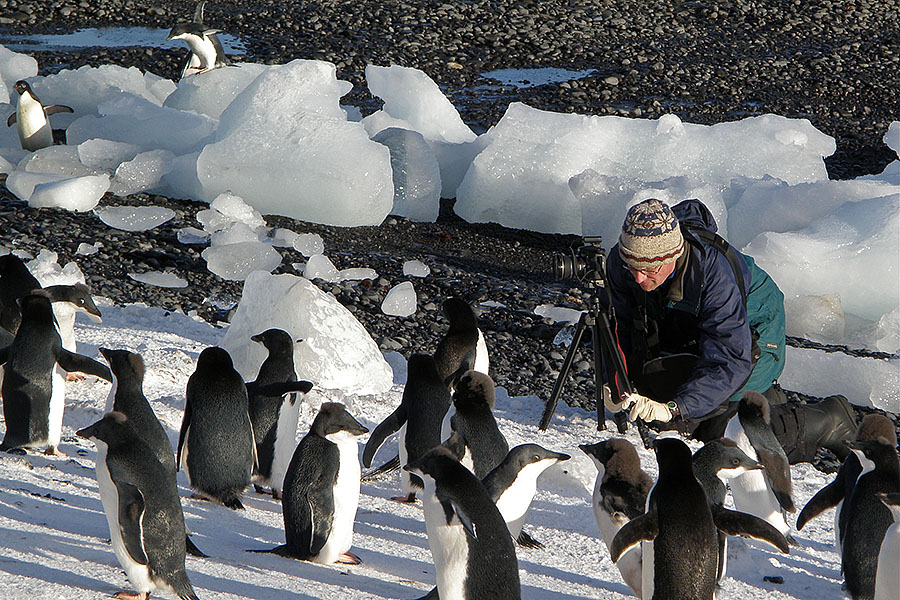 antarctica Brown Bluff aa