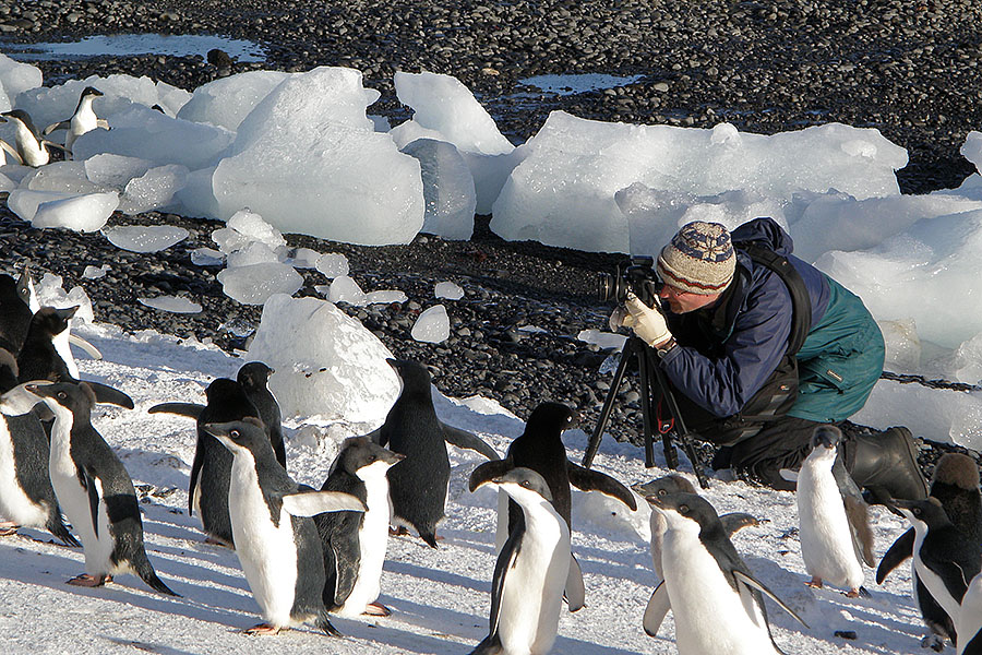 antarctica Brown Bluff ab