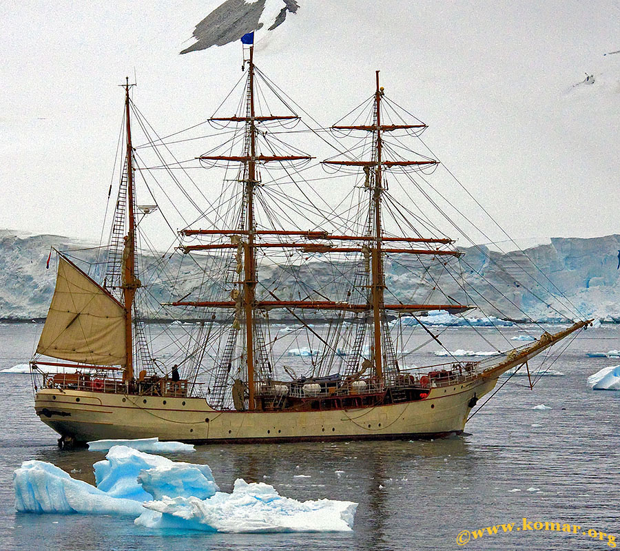 danco island antarctica 3