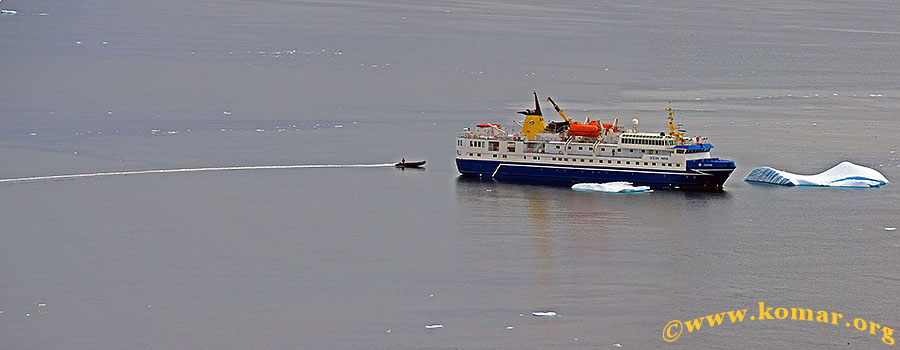 danco island antarctica d